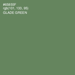 #65855F - Glade Green Color Image